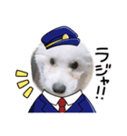 愛犬てんくん。（個別スタンプ：4）