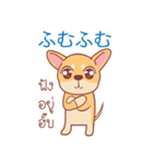 タイ語・日本語通訳チワワ犬のコッパーくん（個別スタンプ：2）