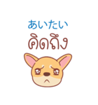 タイ語・日本語通訳チワワ犬のコッパーくん（個別スタンプ：5）