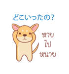 タイ語・日本語通訳チワワ犬のコッパーくん（個別スタンプ：11）