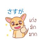 タイ語・日本語通訳チワワ犬のコッパーくん（個別スタンプ：19）