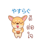 タイ語・日本語通訳チワワ犬のコッパーくん（個別スタンプ：29）