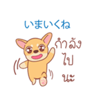 タイ語・日本語通訳チワワ犬のコッパーくん（個別スタンプ：30）