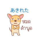 タイ語・日本語通訳チワワ犬のコッパーくん（個別スタンプ：40）