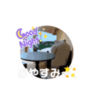 ぷるぷるハムスターMonTiTi（個別スタンプ：14）