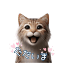 にゃん日常生活（個別スタンプ：6）