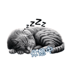 にゃん日常生活（個別スタンプ：9）