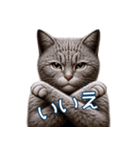 にゃん日常生活（個別スタンプ：11）