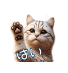 にゃん日常生活（個別スタンプ：12）