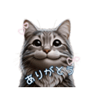 にゃん日常生活（個別スタンプ：14）