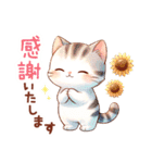 猫のつめあわせ【夏】（個別スタンプ：19）