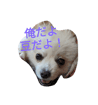 豆スタンプ可愛いのかな？(第3弾)（個別スタンプ：11）
