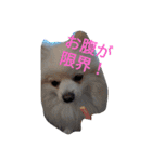 豆スタンプ可愛いのかな？(第3弾)（個別スタンプ：12）