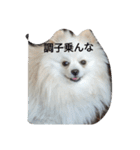 豆スタンプ可愛いのかな？(第3弾)（個別スタンプ：14）
