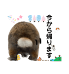 リチャードソンジリスのとろろ4（個別スタンプ：8）