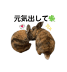 リチャードソンジリスのとろろ4（個別スタンプ：21）