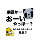 アムちゃんとパンちゃんのすたんぷ（個別スタンプ：13）