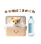 しばいぬ見て雨の日が好きになるスタンプ（個別スタンプ：31）