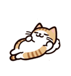 ねこねこほっこりスタンプ（個別スタンプ：3）