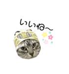 バニとソラ（個別スタンプ：2）