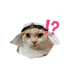 ぼんちとめいちゃんスタンプ（個別スタンプ：2）