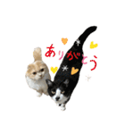 ぼんちとめいちゃんスタンプ（個別スタンプ：8）