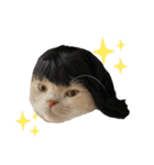 ぼんちとめいちゃんスタンプ（個別スタンプ：32）