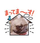 フレブルラオくん（個別スタンプ：1）