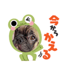 フレブルラオくん（個別スタンプ：2）
