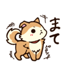 柴犬ふうちゃん2（個別スタンプ：2）