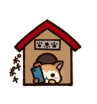 柴犬ふうちゃん2（個別スタンプ：31）