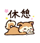 柴犬ふうちゃん2（個別スタンプ：40）