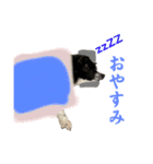 秋田犬虎太（個別スタンプ：2）