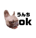 犬のお世話（個別スタンプ：2）