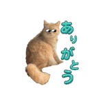 おでぶのそらくん（個別スタンプ：12）
