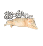 おでぶのそらくん（個別スタンプ：20）