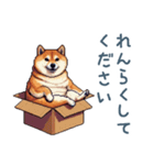 毎日使える箱入り柴犬【挨拶・かわいい】（個別スタンプ：4）