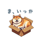 毎日使える箱入り柴犬【挨拶・かわいい】（個別スタンプ：12）