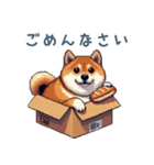 毎日使える箱入り柴犬【挨拶・かわいい】（個別スタンプ：15）