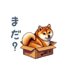 毎日使える箱入り柴犬【挨拶・かわいい】（個別スタンプ：21）