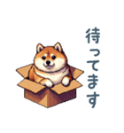 毎日使える箱入り柴犬【挨拶・かわいい】（個別スタンプ：23）