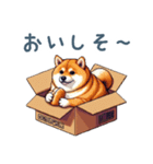 毎日使える箱入り柴犬【挨拶・かわいい】（個別スタンプ：25）