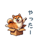 毎日使える箱入り柴犬【挨拶・かわいい】（個別スタンプ：28）