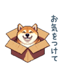 毎日使える箱入り柴犬【挨拶・かわいい】（個別スタンプ：29）