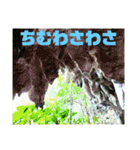 沖縄みーぐすい風景としまくとぅば（個別スタンプ：25）