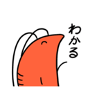 えびとねこといぬ（個別スタンプ：19）