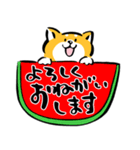 ふでしば19【雨、夏】筆文字、柴犬（個別スタンプ：34）