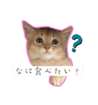 竹中家の愉快な仲間たち2（個別スタンプ：15）