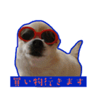竹中家の愉快な仲間たち2（個別スタンプ：16）