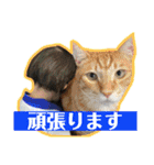 竹中家の愉快な仲間たち2（個別スタンプ：25）